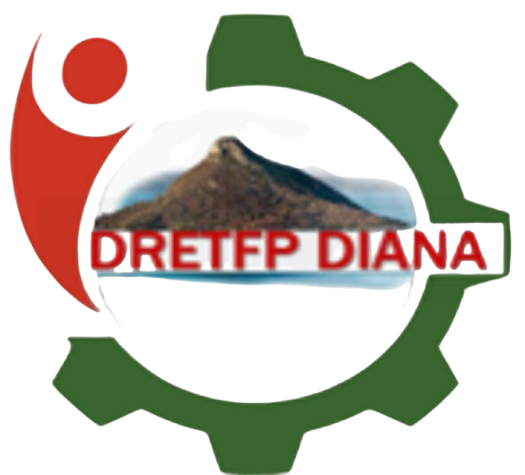 Centre de Formation Professionnel